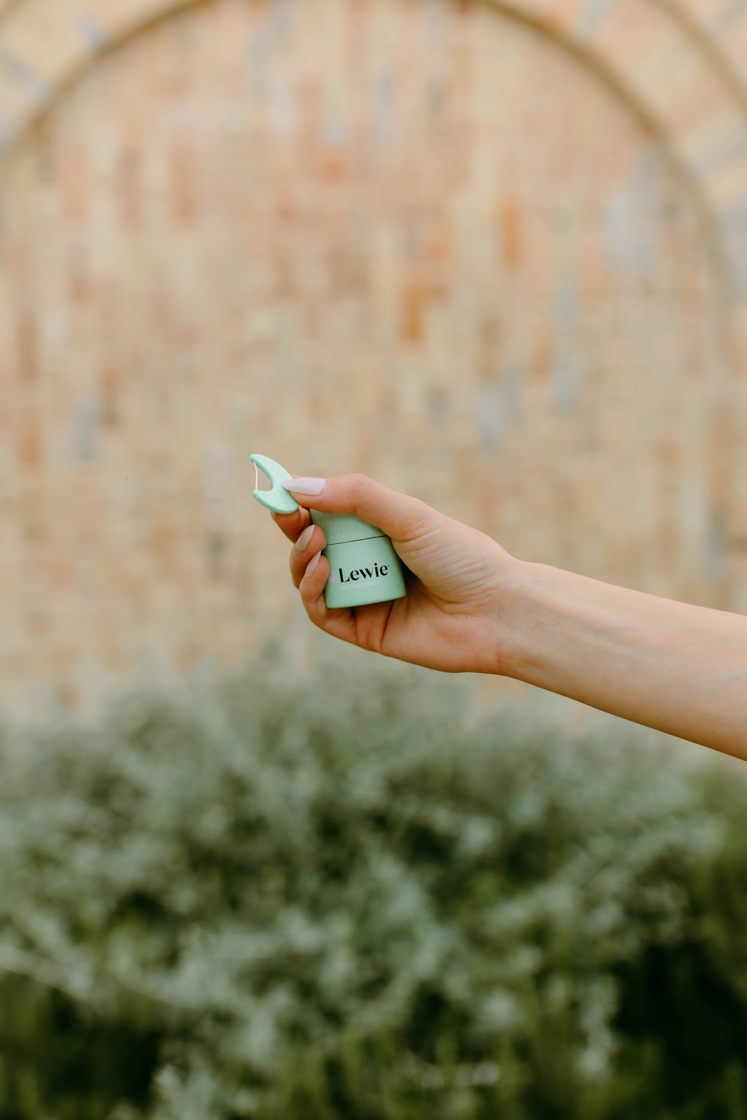 The Lewie New Year New You Bundle